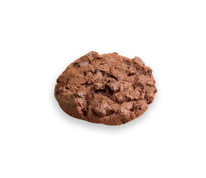 DOUBLE CHOCOLATE BROWNIE - OTIS SPUNKMEYER SWEET DISCOVERY