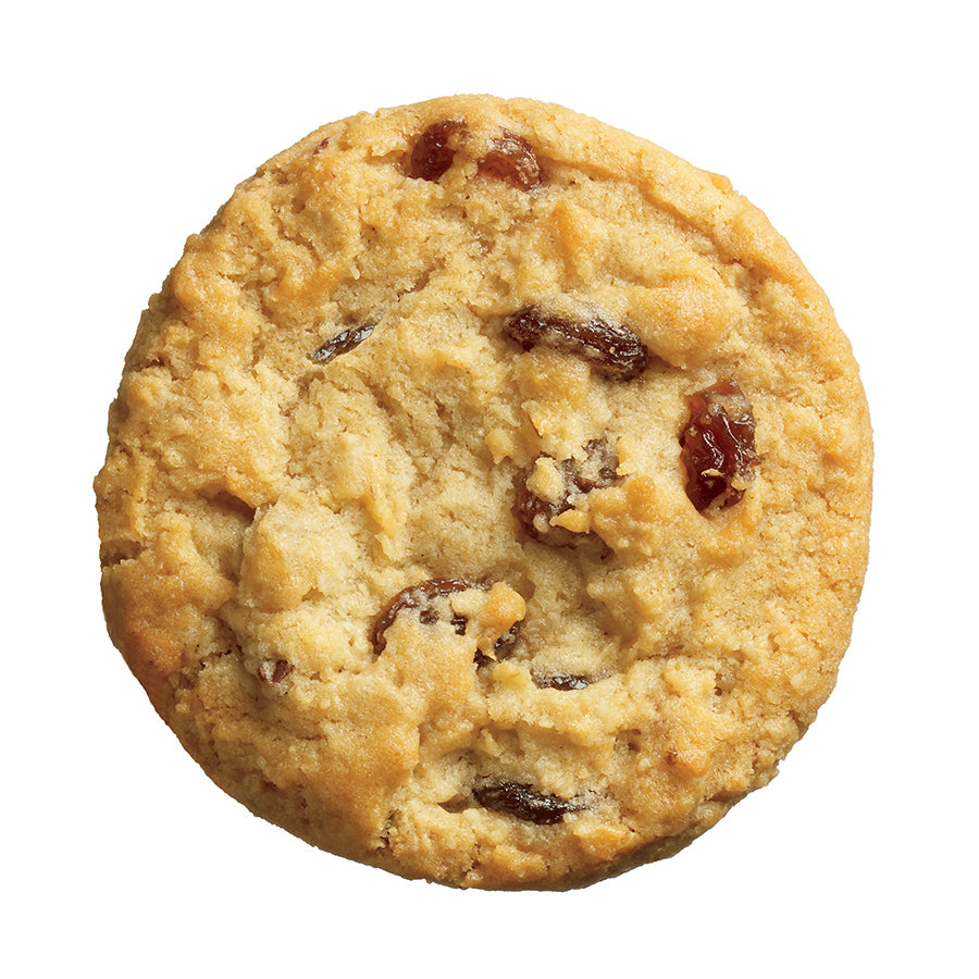 OATMEAL RAISIN - DELICIOUS ESSENTIALS FIT'N FIBER